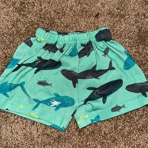 12m carters boy short
